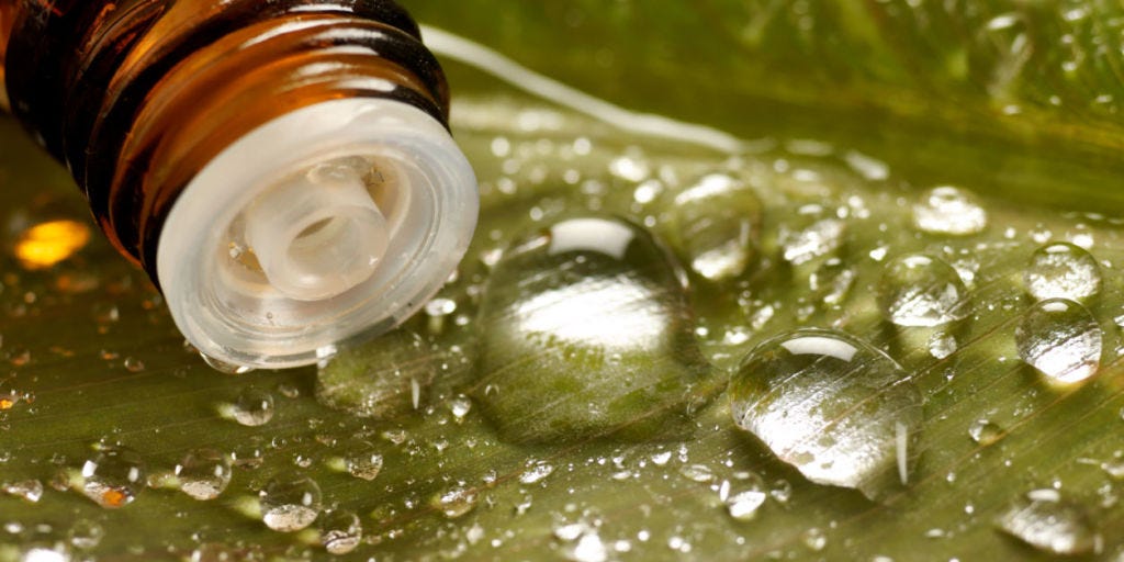 Drinking tea tree oil weight loss Drinking tea tree oil weight loss